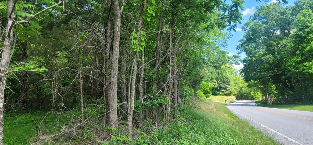 2323 College St Spencer, TN 38585