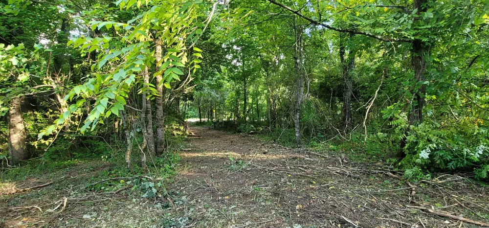 2323 College St Spencer, TN 38585