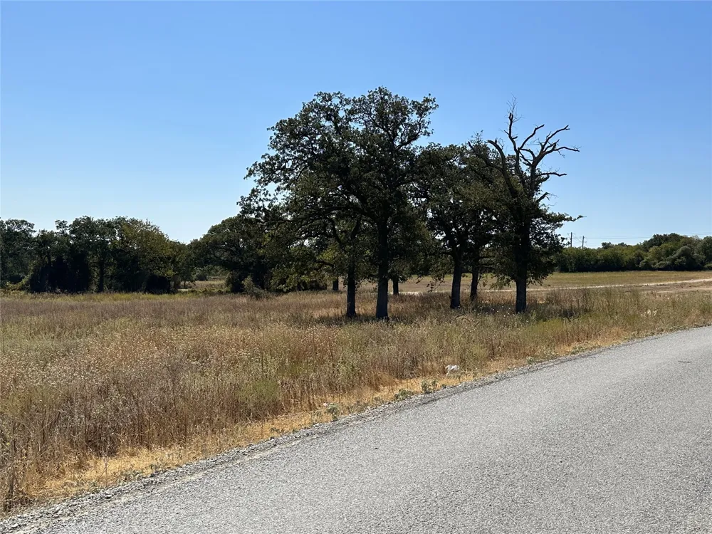 1010 Gonzollas Road Springtown, TX 76082