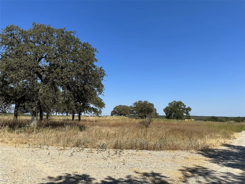 1010 Gonzollas Road Springtown, TX 76082