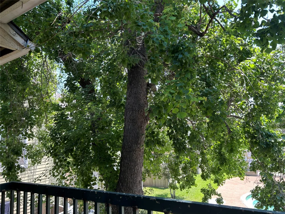 4107 Esters Road #808 Irving, TX 75038