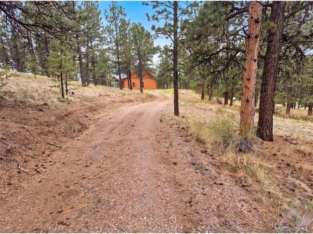 113 Blackberry Court Westcliffe, CO 81252