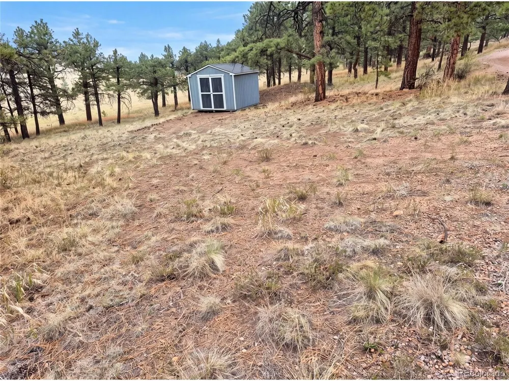 113 Blackberry Court Westcliffe, CO 81252