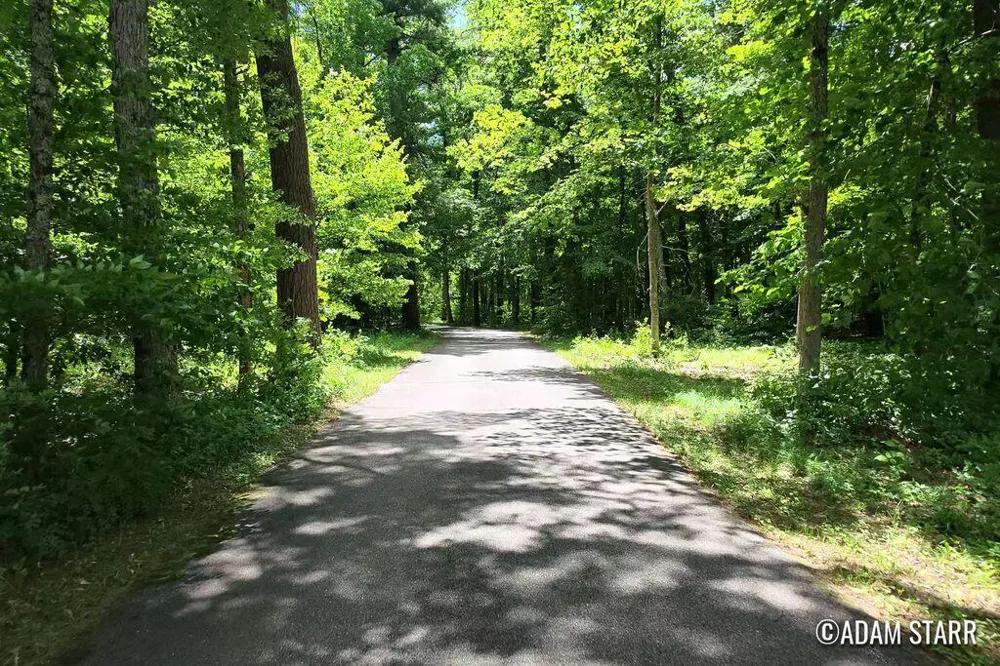3896 Croton Drive Brooks Township, MI 49337