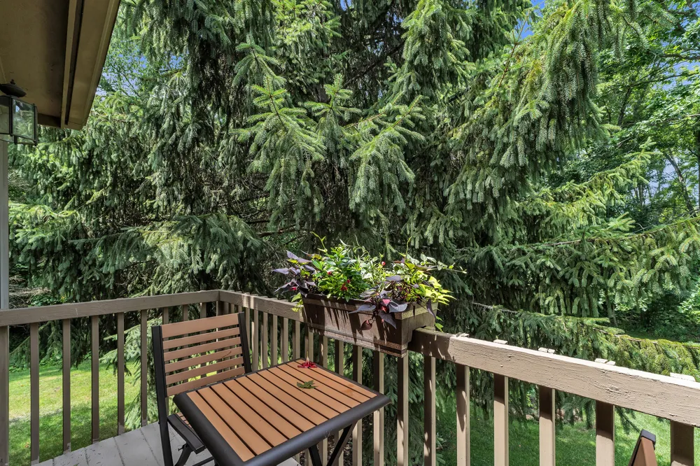 24491 Forest Drive Lyon Charter Township, MI 48178