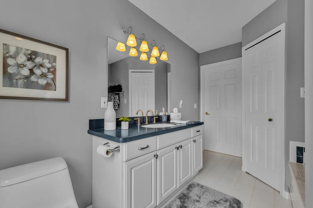 24491 Forest Drive Lyon Charter Township, MI 48178