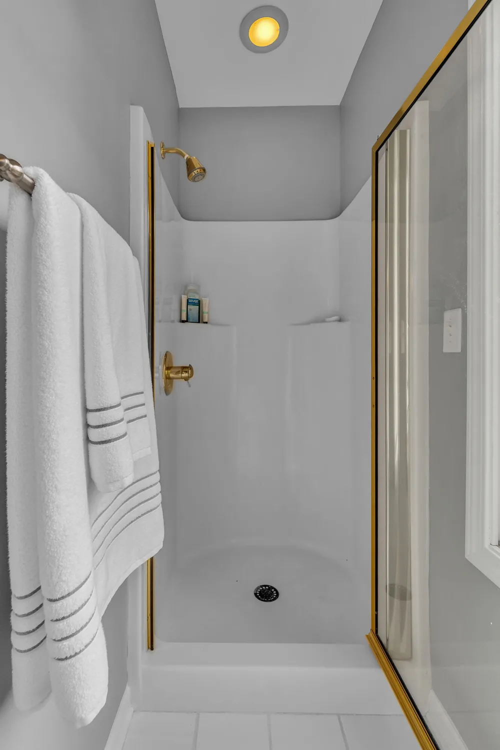 24491 Forest Drive Lyon Charter Township, MI 48178