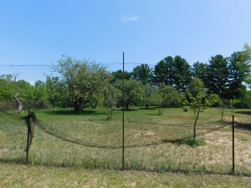 14200 Plagany Road Springdale Township, MI 49614