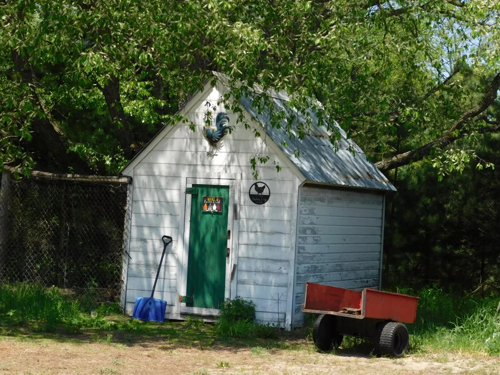 14200 Plagany Road Springdale Township, MI 49614