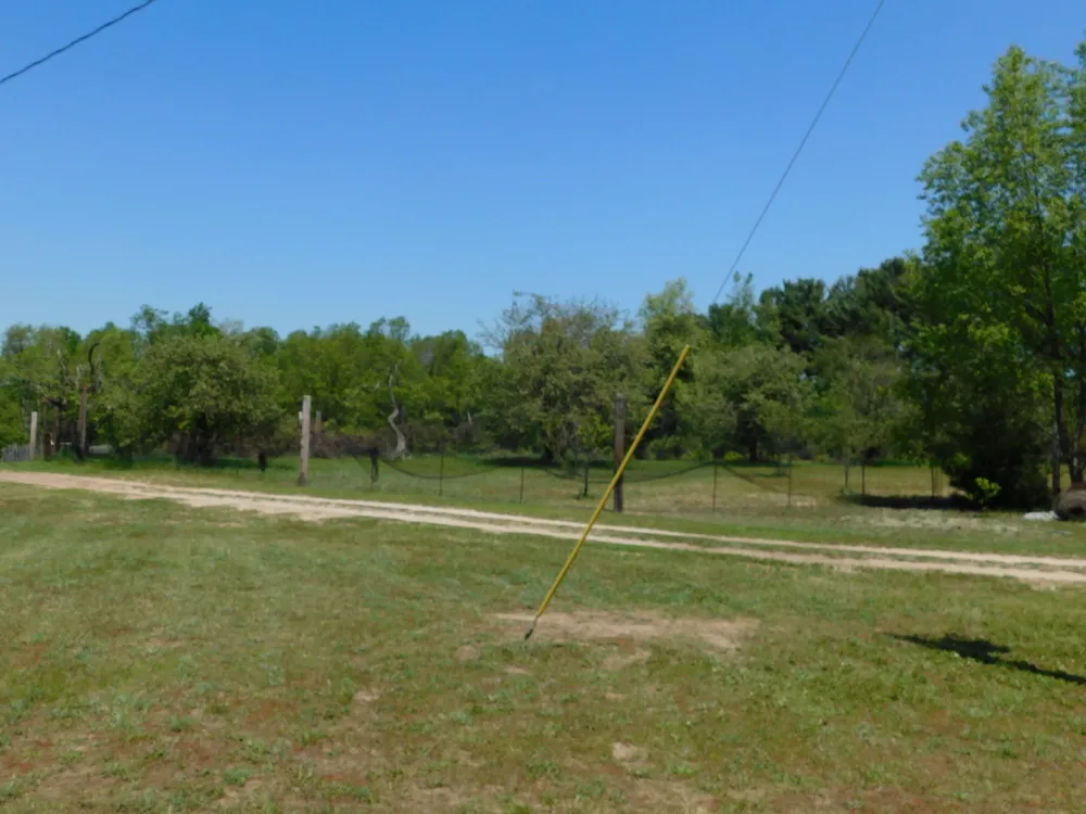 14200 Plagany Road Springdale Township, MI 49614