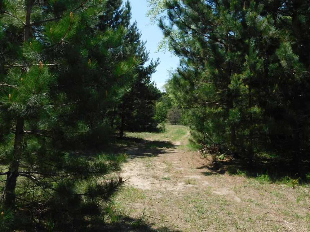 14200 Plagany Road Springdale Township, MI 49614