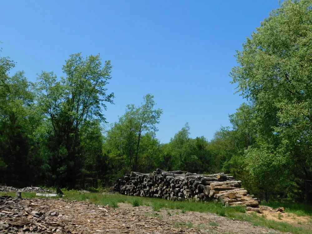 14200 Plagany Road Springdale Township, MI 49614