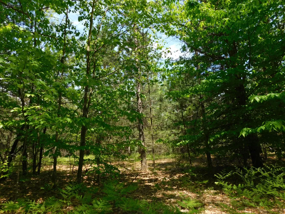 14200 Plagany Road Springdale Township, MI 49614
