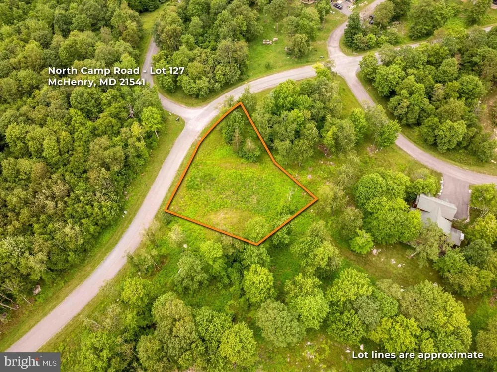 NORTH CAMP ROAD Mc Henry, MD 21541