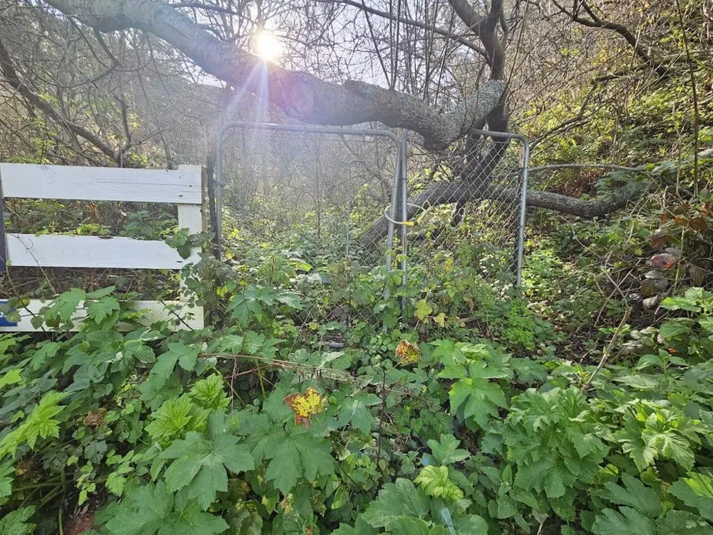 Portola Pacifica, CA 94044