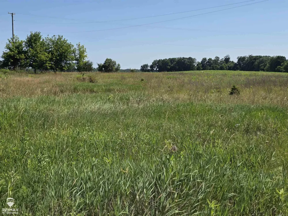 Garrison Road Bennington Township, MI 48848