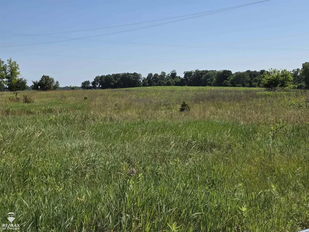 Garrison Road Bennington Township, MI 48848