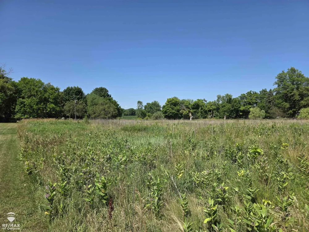 Garrison Road Bennington Township, MI 48848