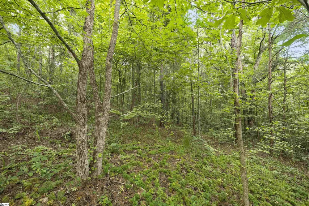 00 Foxboro Road Travelers Rest, SC 29690