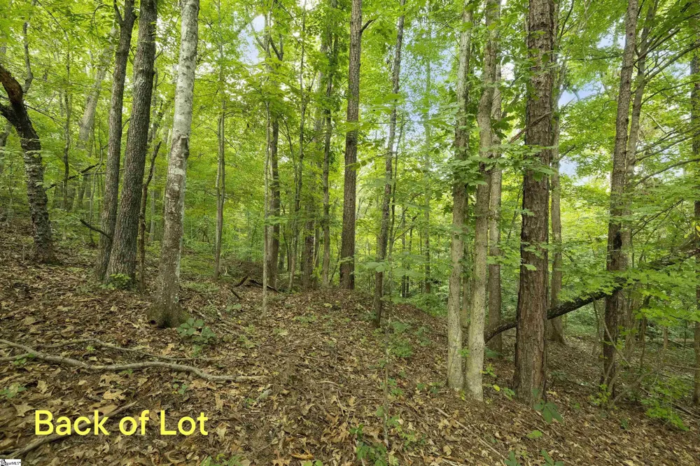 00 Foxboro Road Travelers Rest, SC 29690
