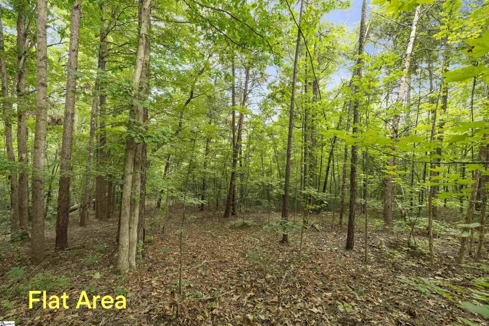 00 Foxboro Road Travelers Rest, SC 29690