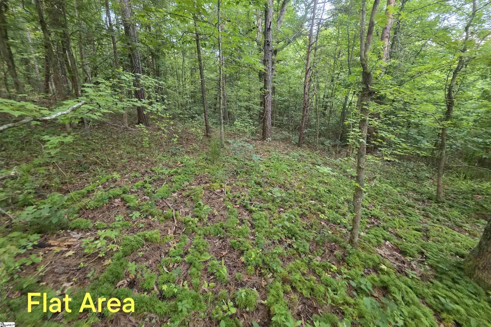 00 Foxboro Road Travelers Rest, SC 29690