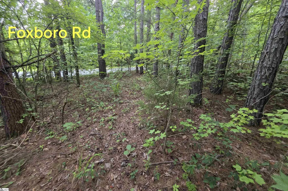 00 Foxboro Road Travelers Rest, SC 29690