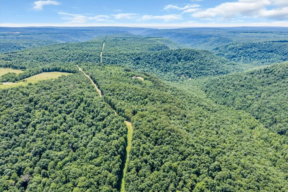 5688 Burkett Chapel Road Whitwell, TN 37397