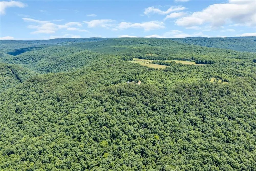 5688 Burkett Chapel Road Whitwell, TN 37397