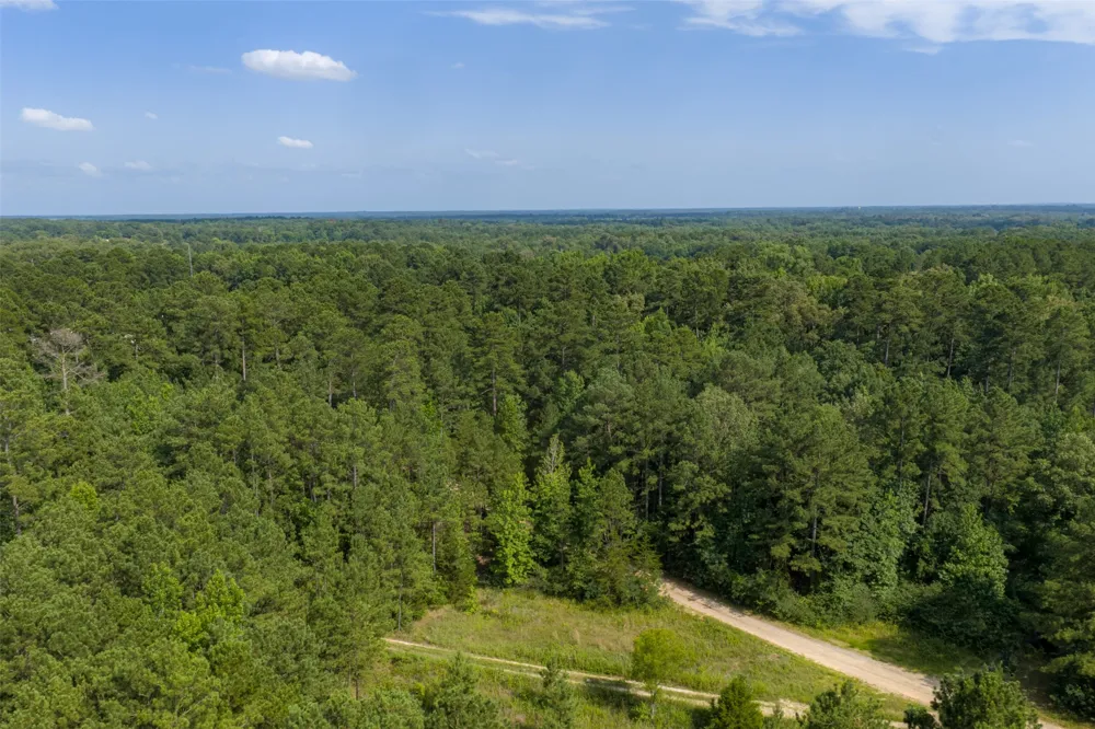 County Road 4117 Overton, TX 75684