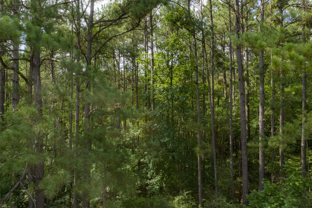 County Road 4117 Overton, TX 75684