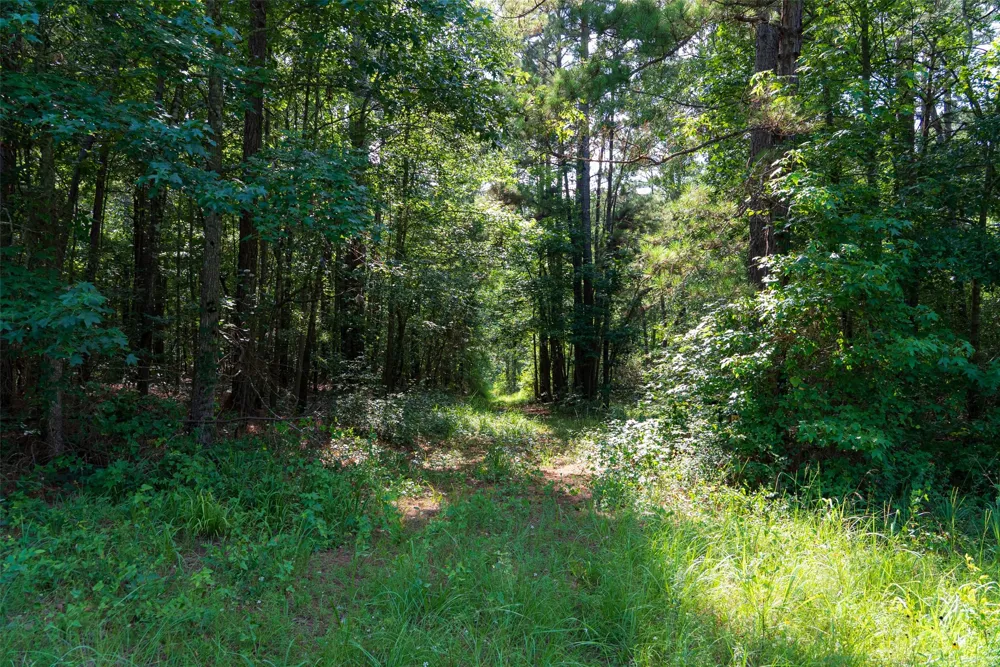 County Road 4117 Overton, TX 75684