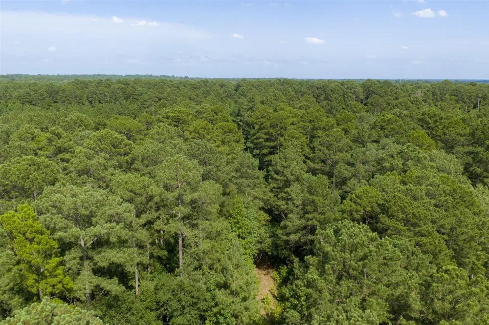 County Road 4117 Overton, TX 75684