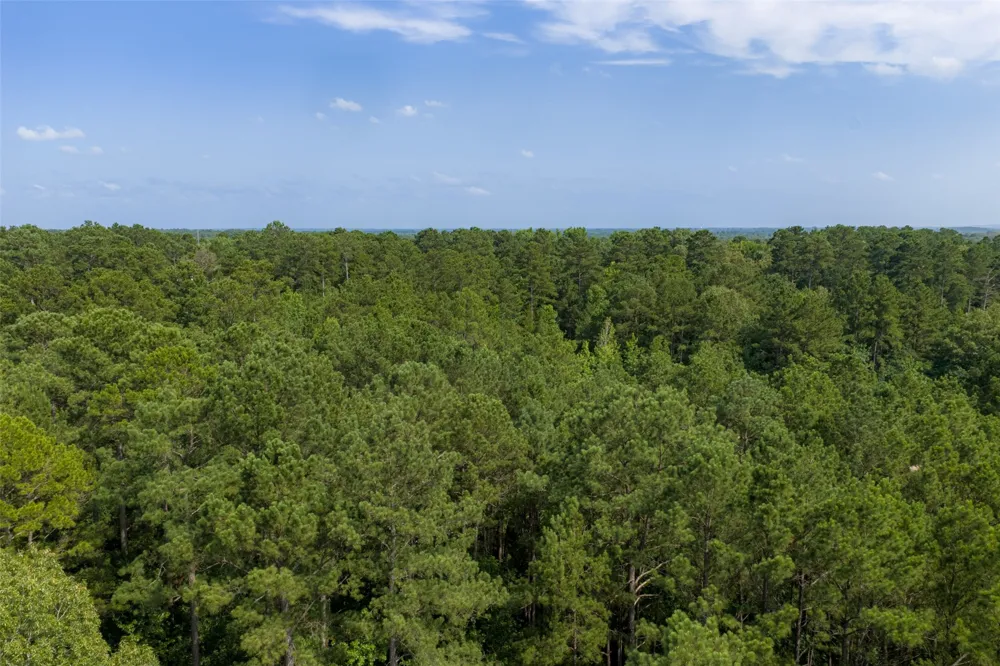 County Road 4117 Overton, TX 75684