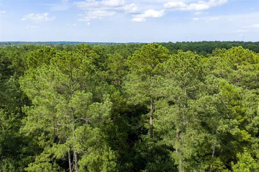 County Road 4117 Overton, TX 75684
