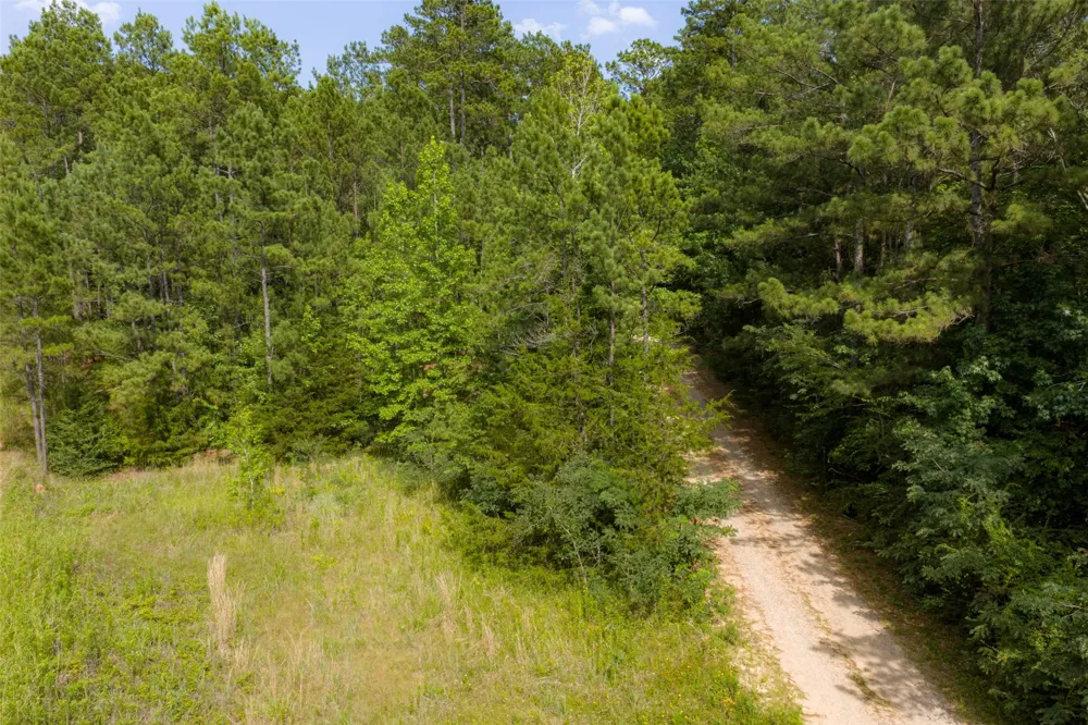 County Road 4117 Overton, TX 75684