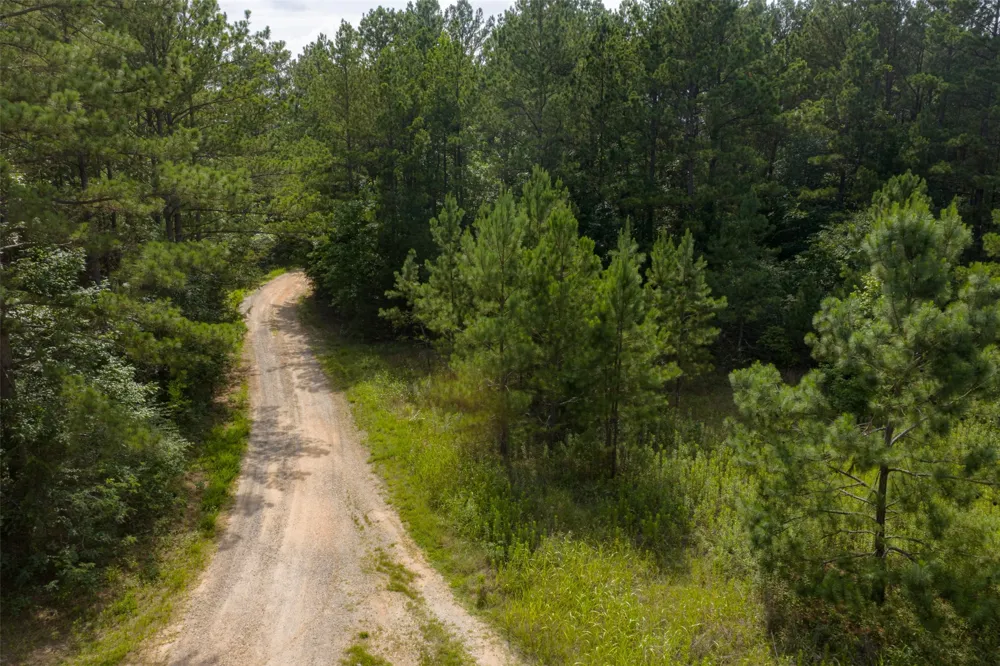 County Road 4117 Overton, TX 75684
