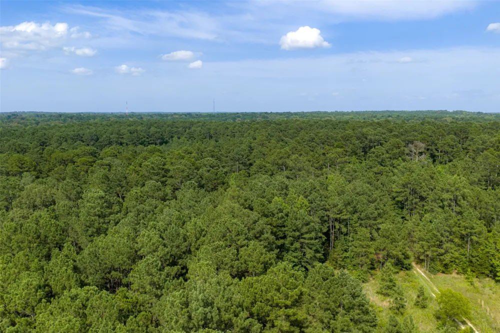 County Road 4117 Overton, TX 75684