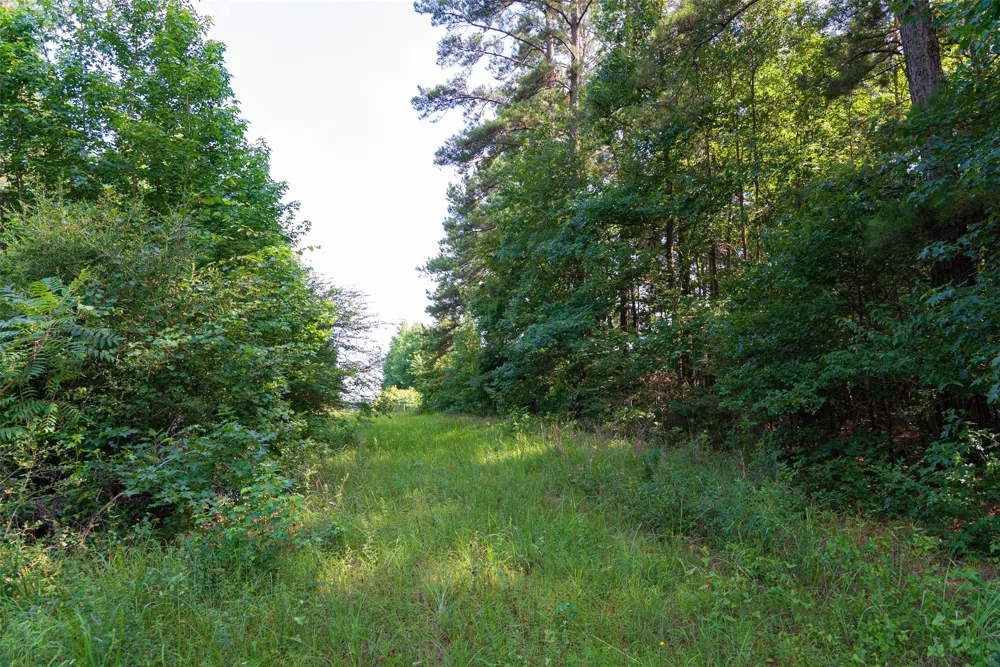 County Road 4117 Overton, TX 75684
