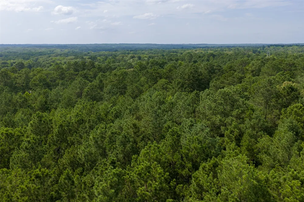 County Road 4117 Overton, TX 75684