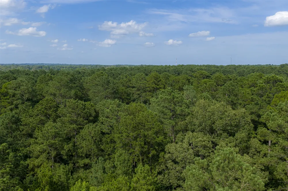 County Road 4117 Overton, TX 75684