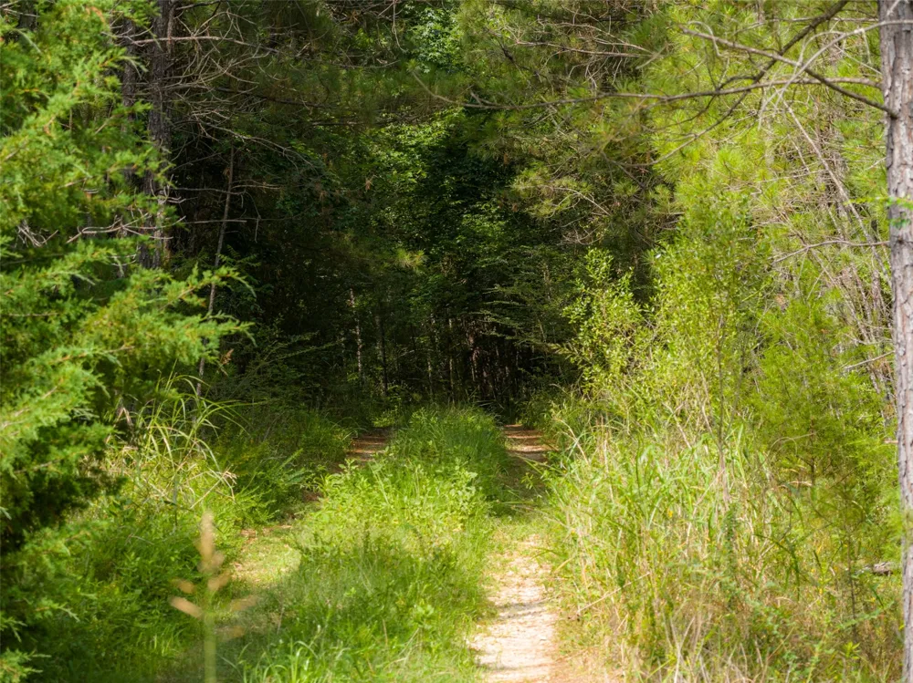 County Road 4117 Overton, TX 75684