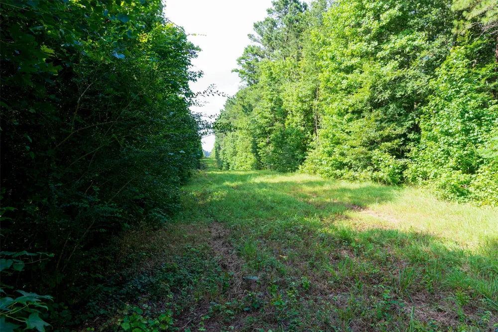 County Road 4117 Overton, TX 75684