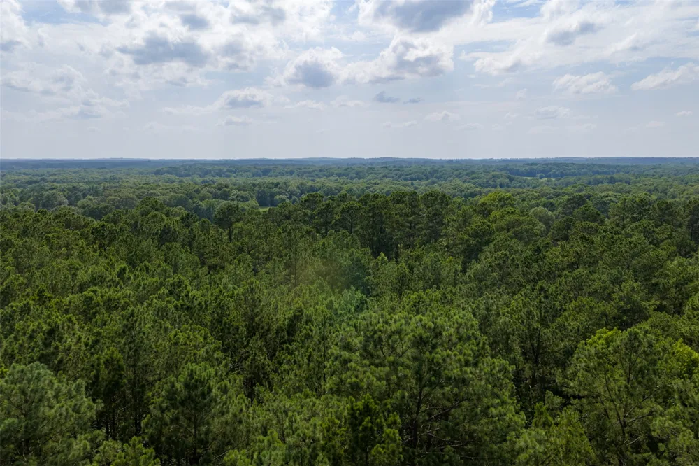 County Road 4117 Overton, TX 75684