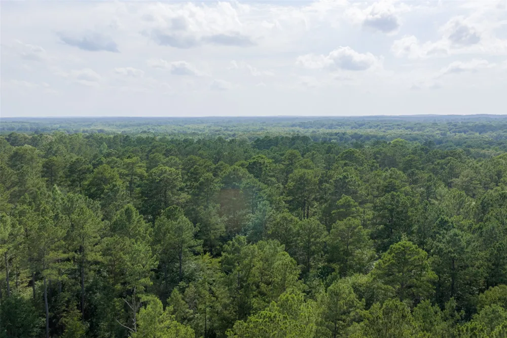 County Road 4117 Overton, TX 75684