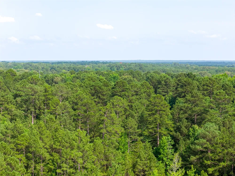 County Road 4117 Overton, TX 75684