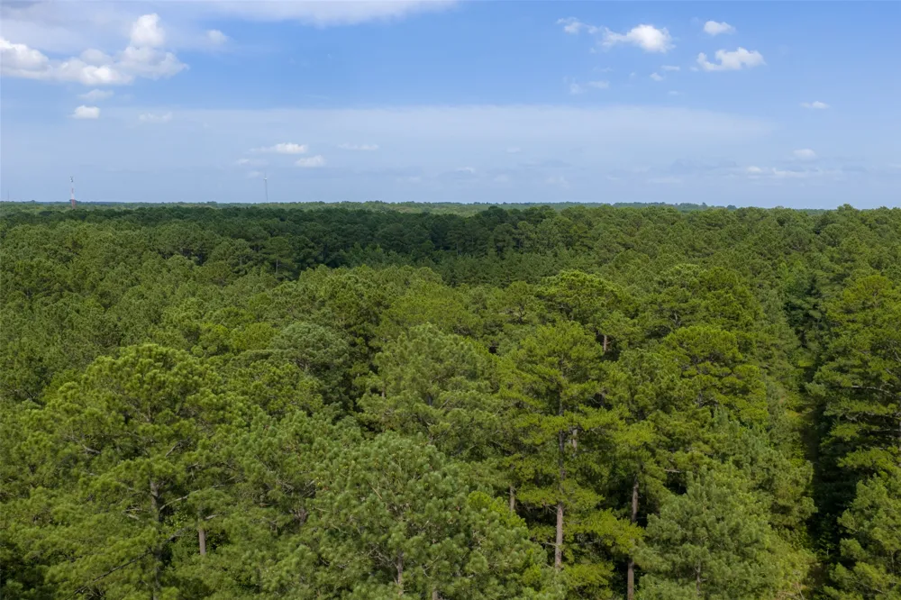 County Road 4117 Overton, TX 75684