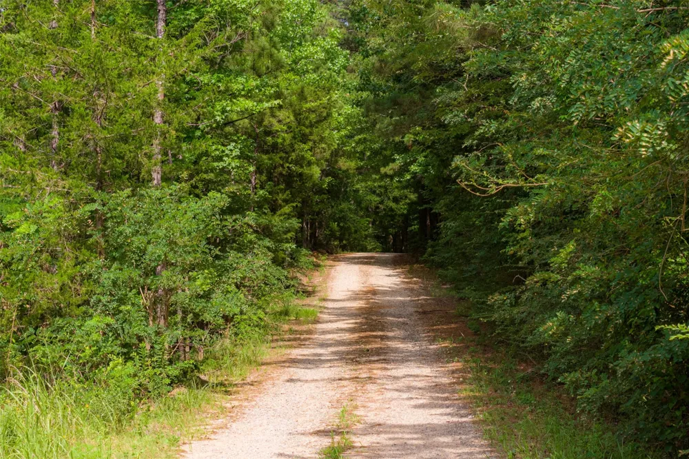 County Road 4117 Overton, TX 75684