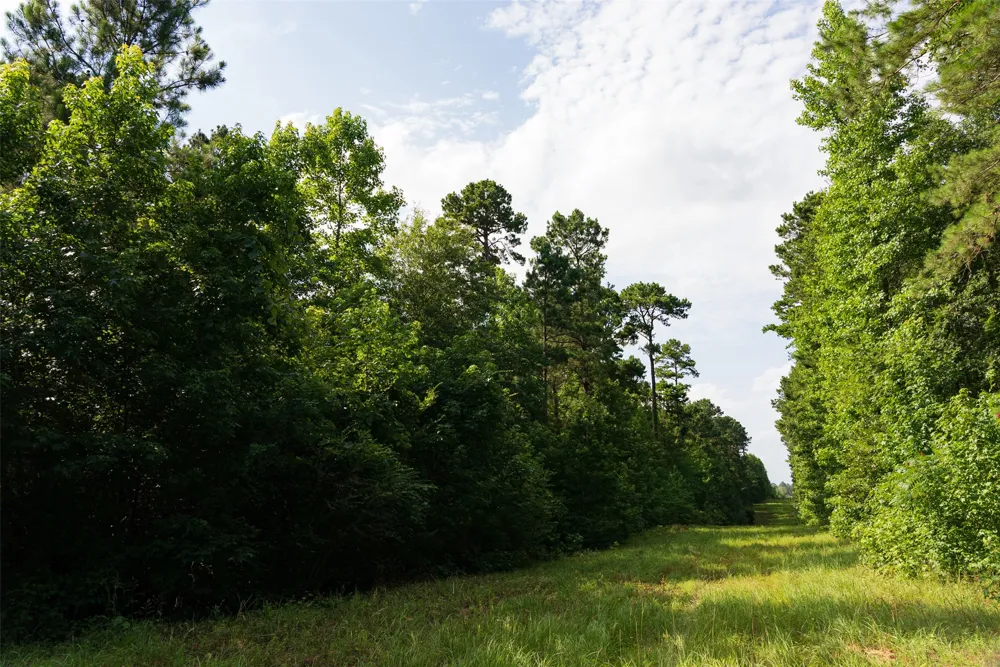 County Road 4117 Overton, TX 75684