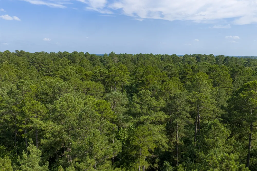 County Road 4117 Overton, TX 75684